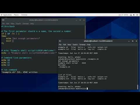 Bash Shell Programming Parameters Conditionals Loops