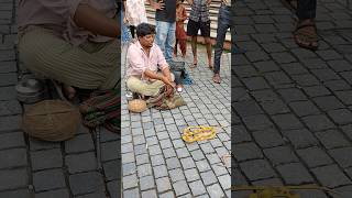 Download lagu madari ka khel 😂😂 comedy magic jadugar ka Jadu #comedy short video mp3 Download lagu madari ka khel 😂😂 comedy magic jadugar ka Jadu #comedy short video mp3