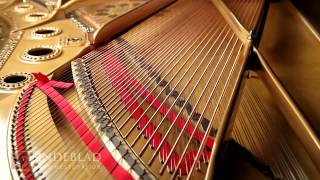 Video thumbnail for 1910 Steinway Hamburg Model B #140625 by Lindeblad Piano Restoration