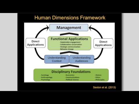 What is Human Dimensions and Why is it Important ?