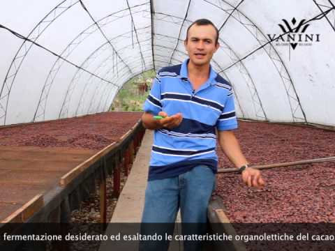 Vanini - L'eccellenza