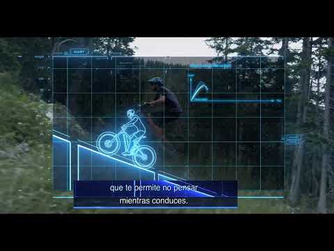 Giant - Smart Assist