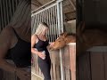 Bebi Simon 🫶 Equestrian Horse Horselover