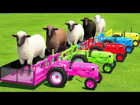 TRANSPORTING SHEEPS WITH MINI PORSCHE TRACTORS & MAN TRUCKS - Farming Simulator 22