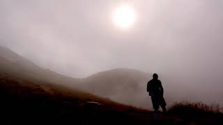 Dark Tranquility - Insanity´s Crescendo - Tradução