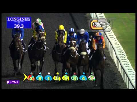 14.02.2013 Meydan (Dubai-UAE) 3.Race UAE 2.000 Guineas 2013 - Group III  1.600 m