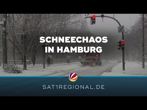 Schneechaos in Hamburg: Verkehr kommt zum Erliegen, Schulausfall am Freitag