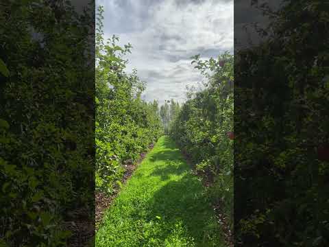 Southland Drone Services video