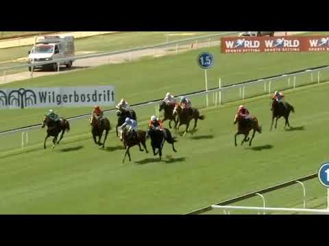 RAIN IN HOLLAND - WSB.CO.ZA MAIDEN JUVENILE PLATE 3/4/21