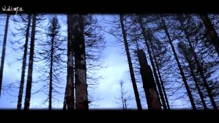 Lakes Of Russia - Dead Trees