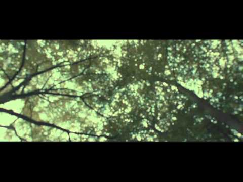 GOODBYE HARRY POTTER - A Fan's Farewell