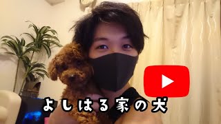 ちょっとワンコと雑談生放送するわ！初見大歓迎！