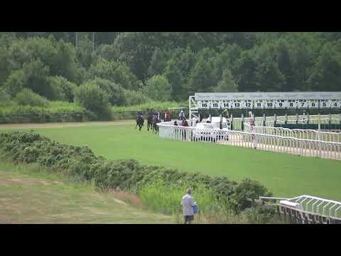 Scandinavian Arabian Racing   11.15