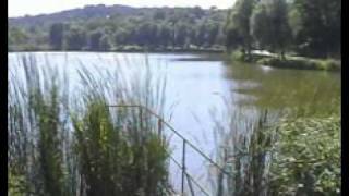 preview picture of video 'Dombóvár: Nyergesvölgyi tó'