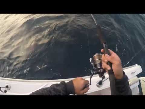 Fast jigging and trapped with fighting a big fish amazing check it out رحلة الصيد مكس سمج