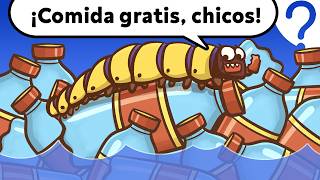 🐛 ¿Por qué no usamos a los gusanos come-plástico?