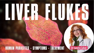 Liver Flukes | Liver Fluke Symptoms | Get rid of Liver Flukes #parasites #liverflukes