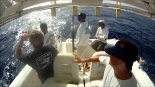 Catching Yellowfin Tuna | Newton's Law