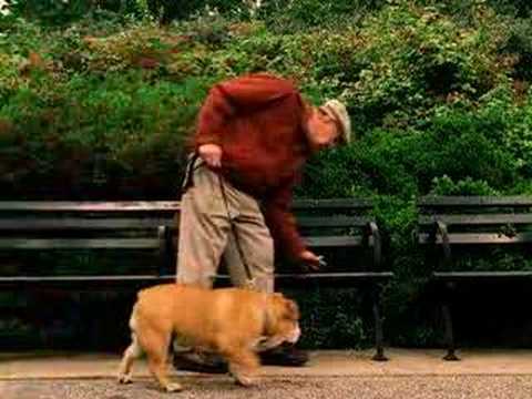 New Leash on Life (2004)