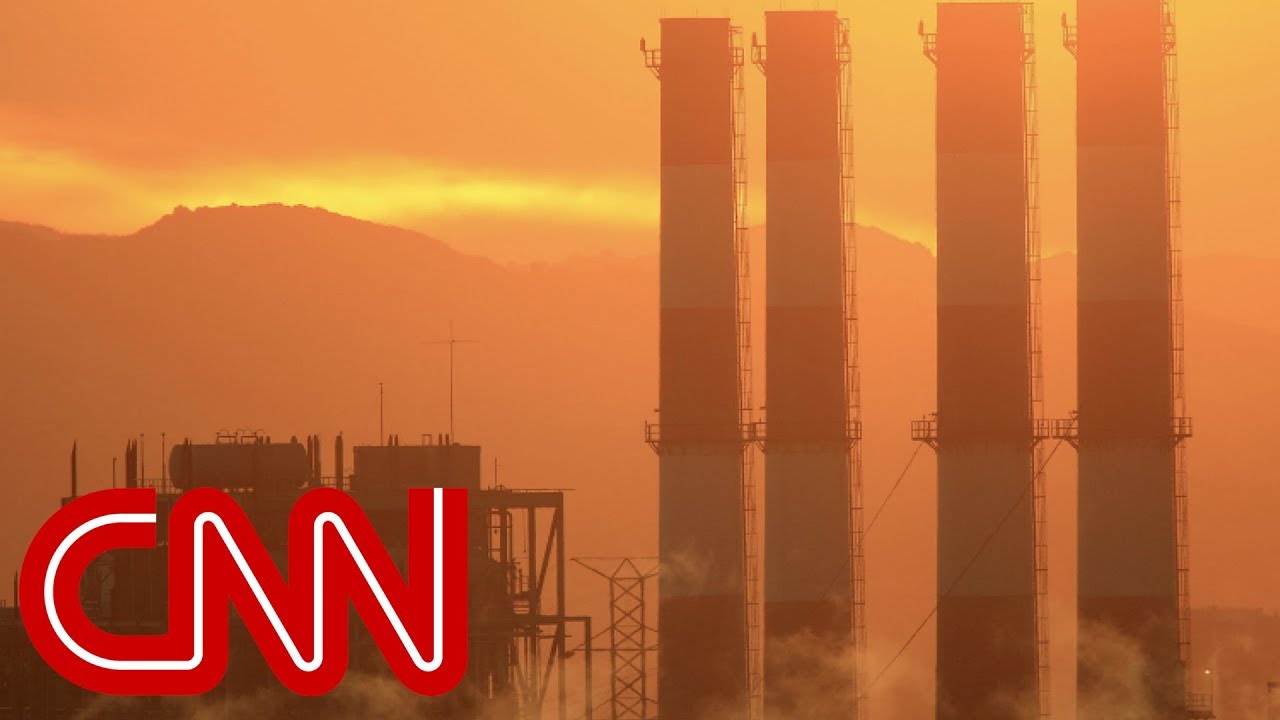 UN report: 1 million species at risk of extinction