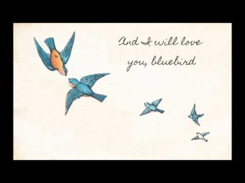 Bluebird - A Destiel Fan Song