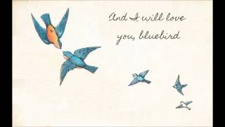 Bluebird - A Destiel Fan Song
