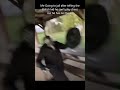 Plague Doctor Walking Meme Memes Fyp