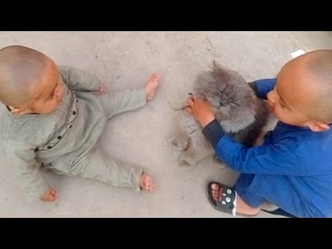 Bilo Beast playing with Abdul & Anabi