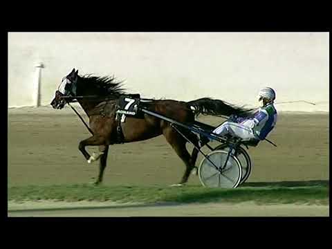 Napoli Trotto 15/10/2021 - 3ª corsa