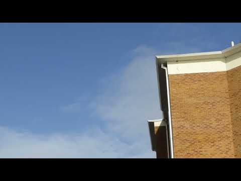 [FREE] nothing,nowhere. x skele x vails x fats'e x notahero x kiddamo x brecken type beat - 4 years.