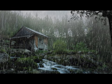 Sleep Instantly Within 3 Minutes with Sound of Rain on Roof in Foggy Forest - ASMR