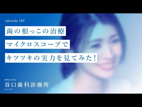 第189話 歯の根っこの治療–歯の中をマイクロスコープ（歯科用顕微鏡）で⁉️キツツキの実力を 見てみた❗️手動と比べて、実際どうなの⁉️