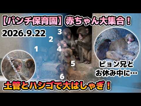 ピョン兄」のYahoo!リアルタイム検索 - X（旧Twitter）をリアルタイム検索