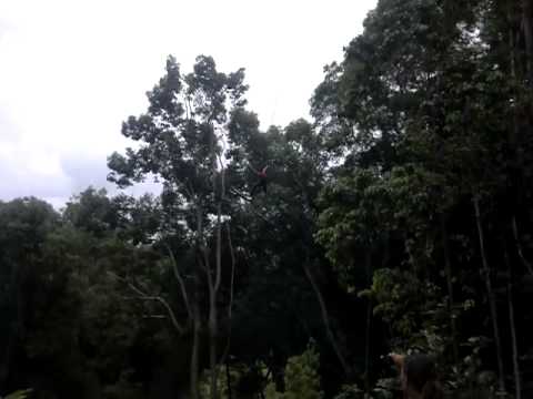 sarah-jane on grand swing