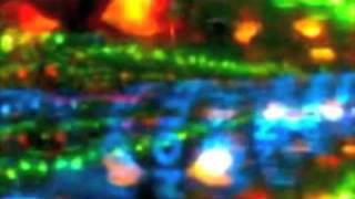 Carmen Consoli - Can't get you out of my head