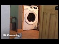 Cat Vs Washing Machine