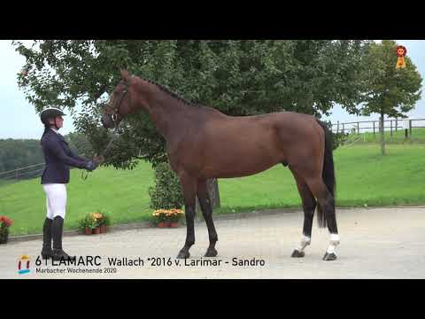 6 Lamarc v. Larimer - Sandro *MARBACHER WOCHENENDE 2020*