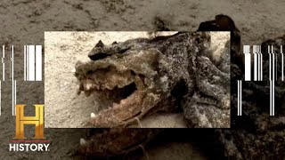 *RARE FOOTAGE* OF FREAKY & FRIGHTENING MONSTERS | The Proof Is Out There | History