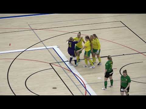 Maalikooste: Ilves FS/2 - MU