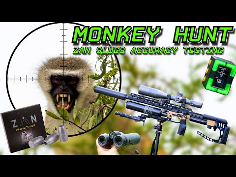 Monkey Hunt & ZAN Slugs Accuracy Testing | FX Impact M4 | 33gr ZAN Slugs | Pest Monkey Removal
