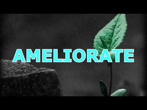 Christler & Dumisani TGR - Ameliorate OFFICIAL LYRIC VIDEO