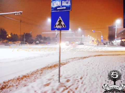 Shibby - Pe-trecerea de pietoni