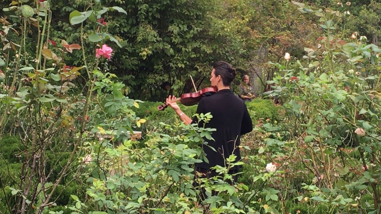 Promotional video thumbnail 12 for Brooksley Bishop Violinist
