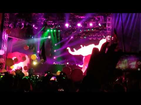 Bonnaroo 2018 Bassnectar Pink Elephants FULL VIDEO