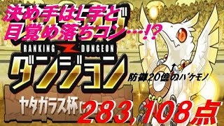 【パズドラ】ヤタガラス杯 283,108点/0.1%【ランダン】