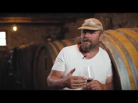 Kletvica - Vina iz Krasa