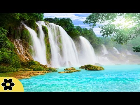 Music for Studying, Relaxing Music, Music for Stress Relief, Focus Music, Background Music, ✿3057C