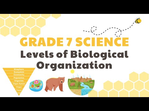 Levels of Biological Organization | Grade 7 Science DepEd MELC Quarter 2 Module 3
