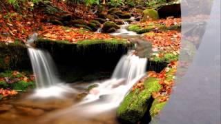 Reveil , C'est pour la vie