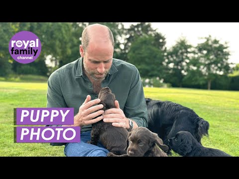 Royals Celebrate Prince William's 43rd Birthday with Unseen Photos
